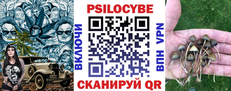 наркошоп  Анжеро-Судженск  Псилоцибиновые грибы Cubensis 